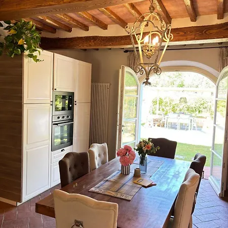 La Coccinella Gialla Lucca