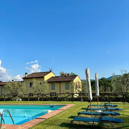 La Coccinella Gialla *