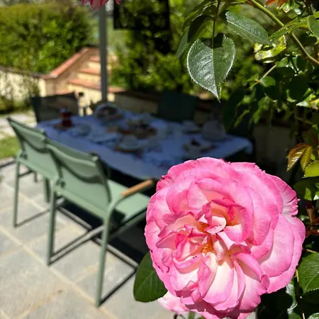 Apartman La Coccinella Gialla