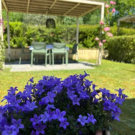 Appartamento La Coccinella Gialla Lucca