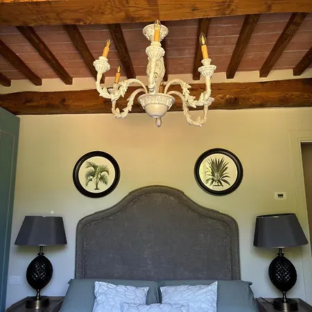 La Coccinella Gialla