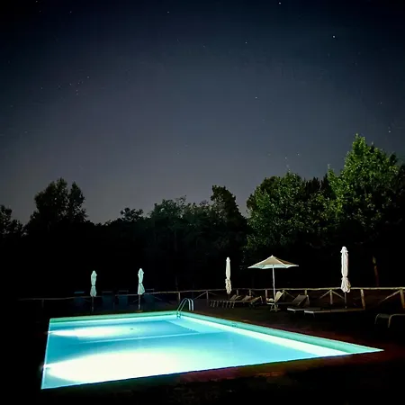 La Coccinella Gialla * Lucca